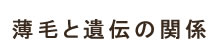 薄毛と遺伝の関係