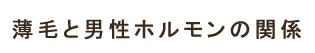 薄毛と男性ホルモンの関係