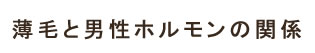 薄毛と男性ホルモンの関係